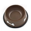 water bowl pet